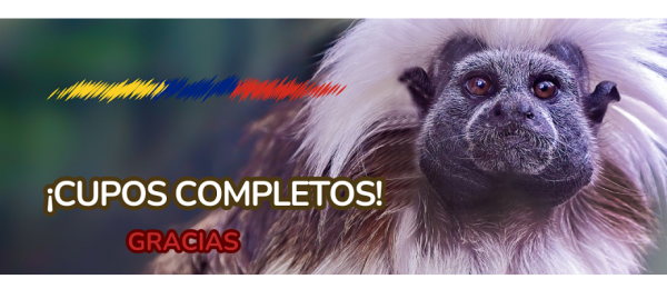 Cupos completos: actividad en el Zoológico de Frankfurt